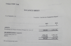 这一页提交给新斯科舍省安全委员会的2013年财务报告显示，其对Unique Solutions的投资价值已贬值超过160万加元。