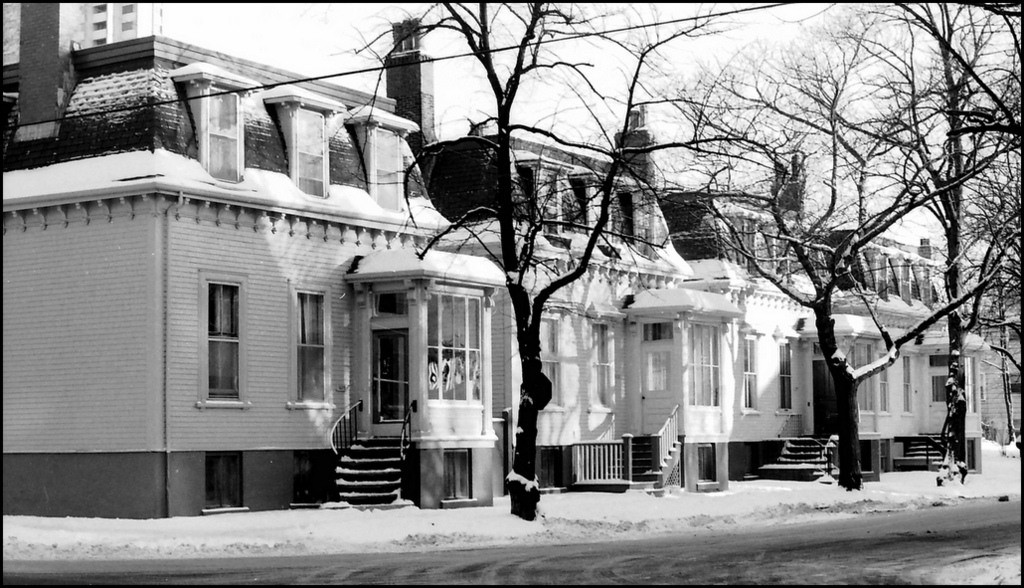 照片：Stephen Archibald