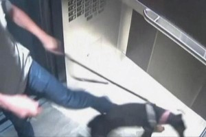 Centerplate首席执行官德斯·黑格正在踢他的狗。