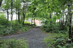 罗宾·哈特里克被发现被殴打，浑身是血，死在海景学校后面的树林里。