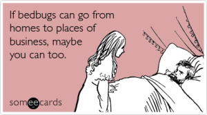 床上臭虫 - 臭虫 - 办公室鼓励 -  ecard-yeyecards