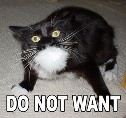 do_not_want_cat.