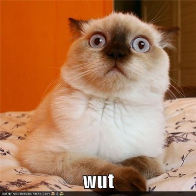 zkk6lscvju-ofuoxjtklkg2.