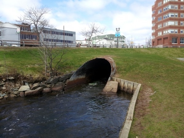 苏利文池塘的暴雨下水道排水口(图片CBCL)