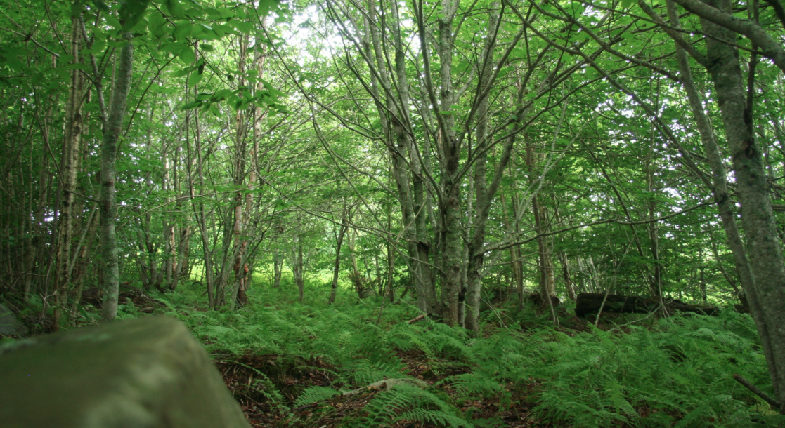 截屏2016-09-01，上午7.38.28