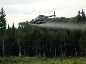 草甘膦的航空应用。照片由加拿大森林服务。
