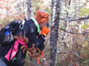 《北美东北部常见地衣》的合著者弗朗西斯·安德森，让我们仔细看看。照片由Linda Pannozzo提供。