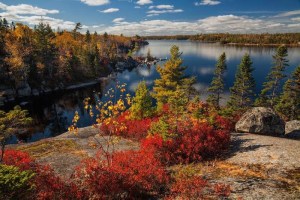 荒野中湖泊的秋季景观