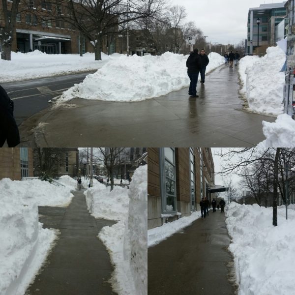 2017年2月15日，达尔豪斯人行道和路缘削减的照片显示，人行道被清理得光秃秃的。