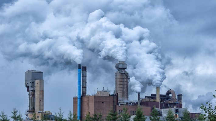 这张照片是2017年《磨坊——纸浆和抗议的五十年》一书的封面，展示了2015年夏天的磨坊从烟囱中喷出巨大的蓝灰色烟雾和烟雾。格里·法雷尔博士摄