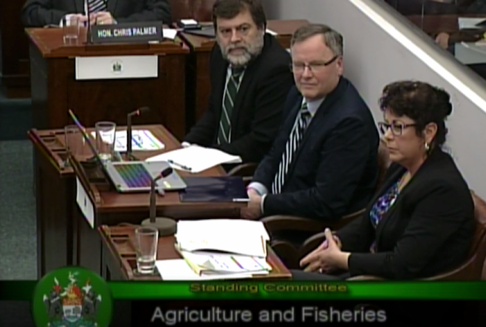 这张截图来自2018年2月PEI农业和渔业常设委员会的会议，显示北方纸浆公司经理布鲁斯·查普曼(Bruce Chapman)出现在委员会面前谈论拟议的污水处理设施，北方纸浆公司希望将污水处理到诺森伯兰海峡。