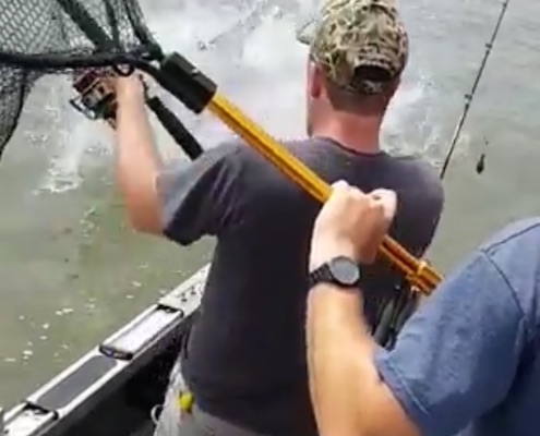 视频中的一段剧照显示，一条鲨鱼正在咬着渔民的鱼线