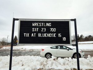 斯特威亚克的一场摔跤表演。