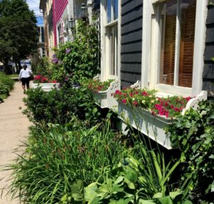 窗框和迷你花园