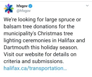 来自哈利法克斯市的推文，说他们正在寻找大云杉或Balsam枞树捐赠。