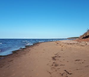 北岸荒芜的海滩