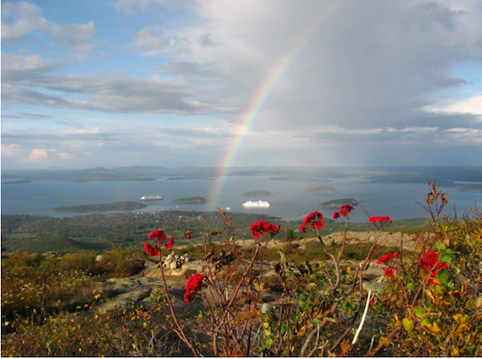 两艘游船停泊在巴尔港