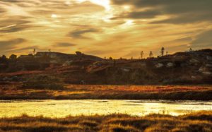 晚上景观在Peggys Cove illens