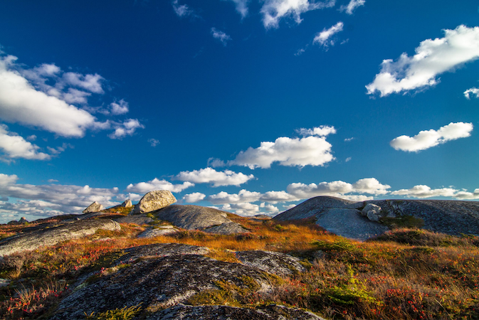 风景与磨砂，地衣，岩石和多云蓝天。