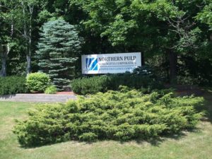 签下加拿大新斯科舍省的Northern Pulp公司。这个标志隐藏在一个被树木和灌木包围的绿色空间里。
