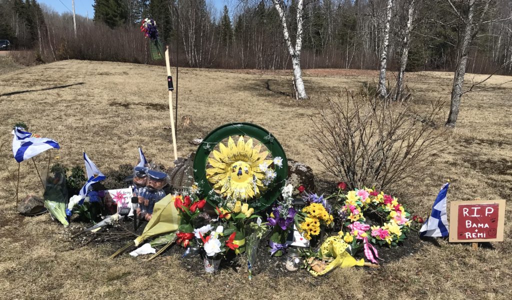 路边的纪念碑，有鲜花、旗帜和标志。