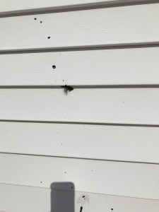 昂斯洛·贝尔蒙特消防大厅的弹孔。