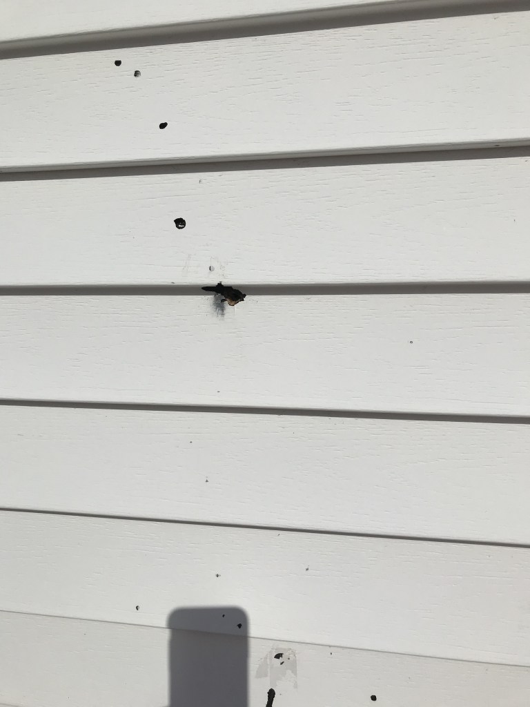 Bullet holes in the Onslow Belmont Fire Hall.