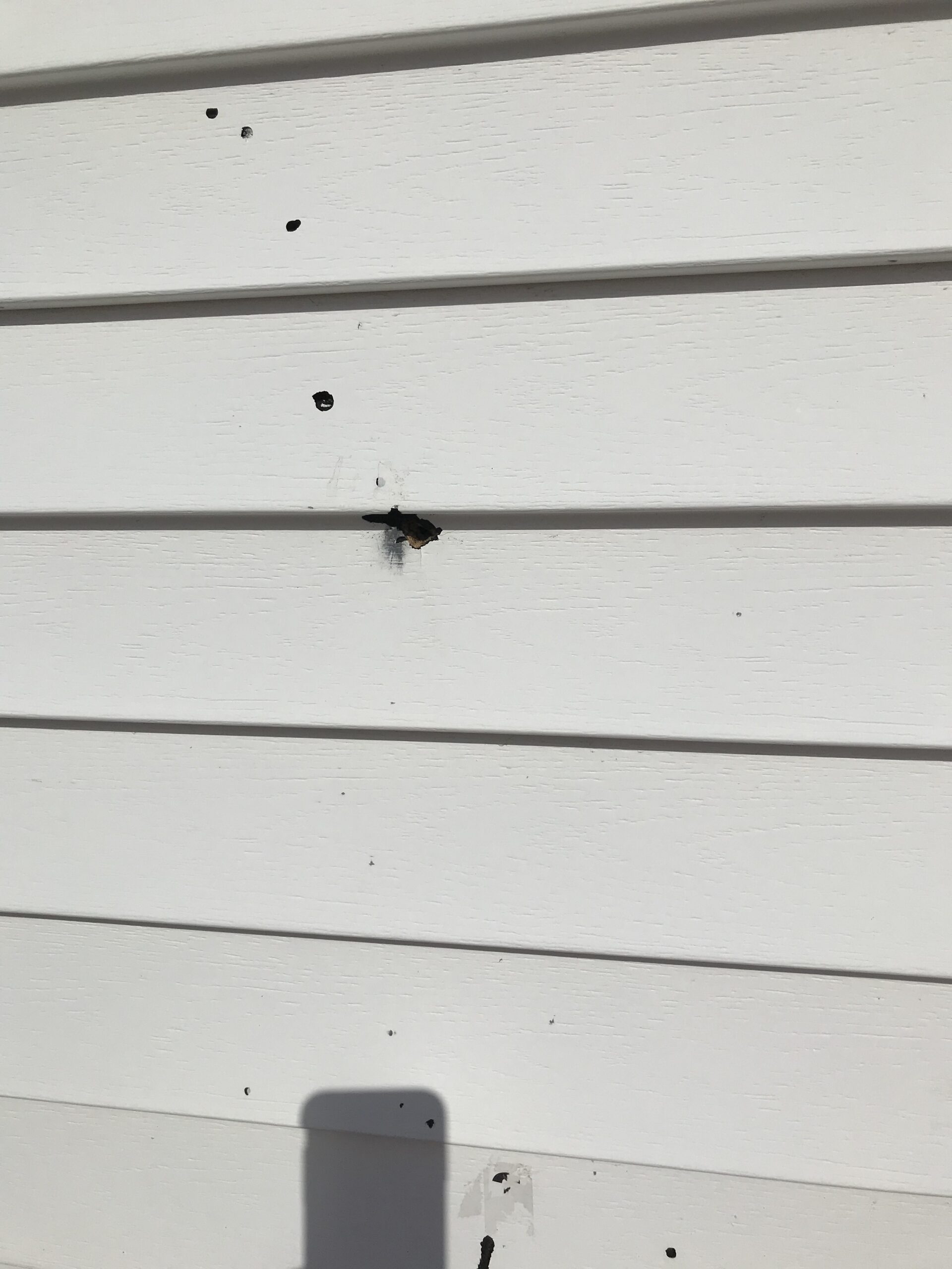 昂斯洛·贝尔蒙特消防大厅的弹孔。