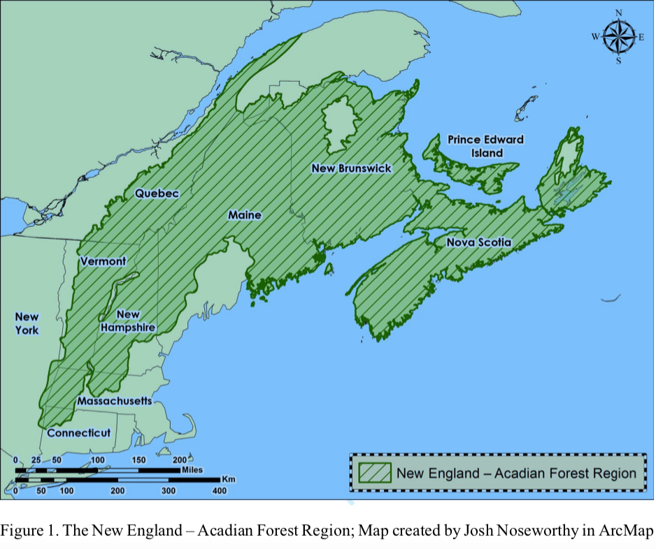地图由Joshua Noreworthy Acadian Forest地区