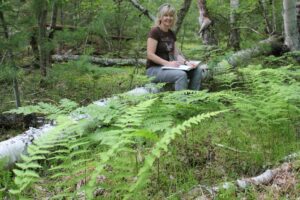 Donna Crossland（贡献）