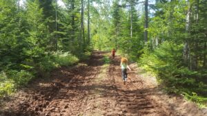 在他的Woodlot Greg Watson实践生态林业恢复阿卡迪林（照片：Greg Watson）