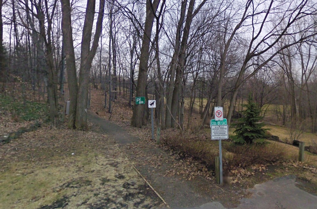 公园里通向小山的小路