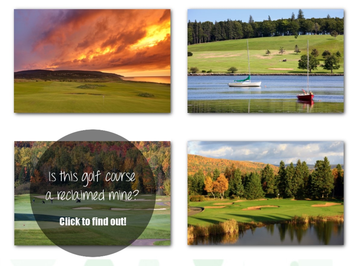 四张高尔夫球场的照片和一个泡泡，问你是否能分辨出哪一张是回收的地雷。