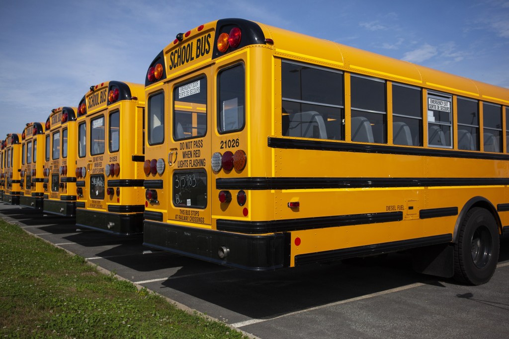 A row of school buses in a parking lot.