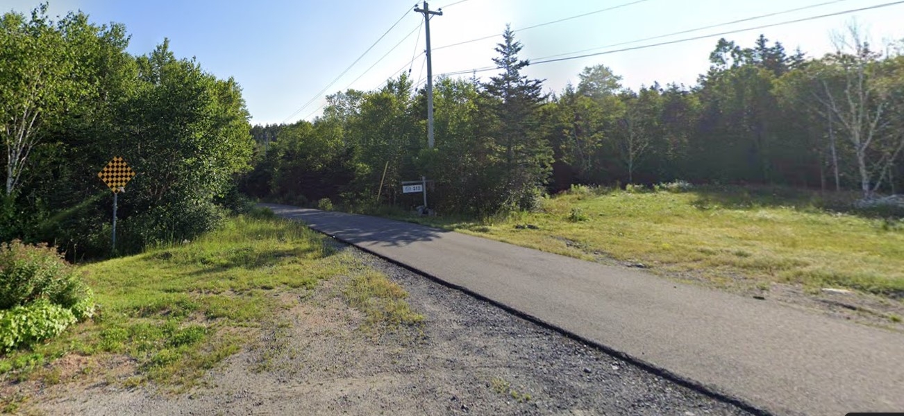 乡村道路的街景图像