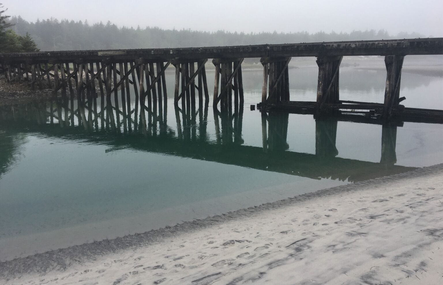 Old train trestle by a beach