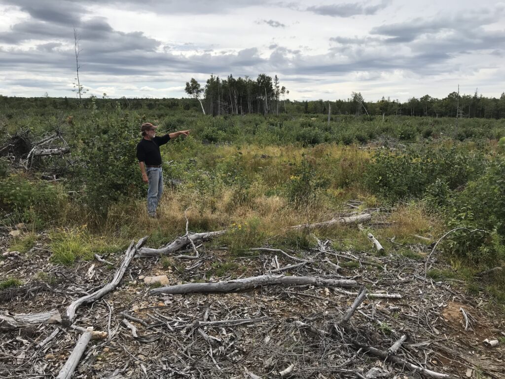 在ClearCut区域的唐奥替斯坦，用于除草剂喷涂。照片:琼巴克斯特