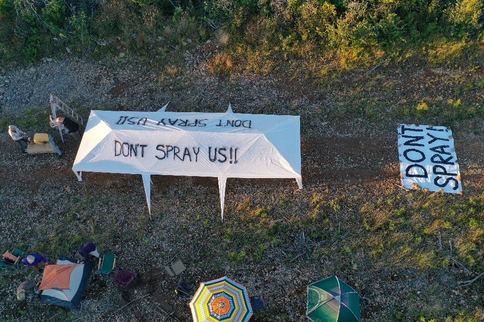 北山反对者以空中喷洒除草剂“占领”营地。照片:杜克大学的卡斯滕