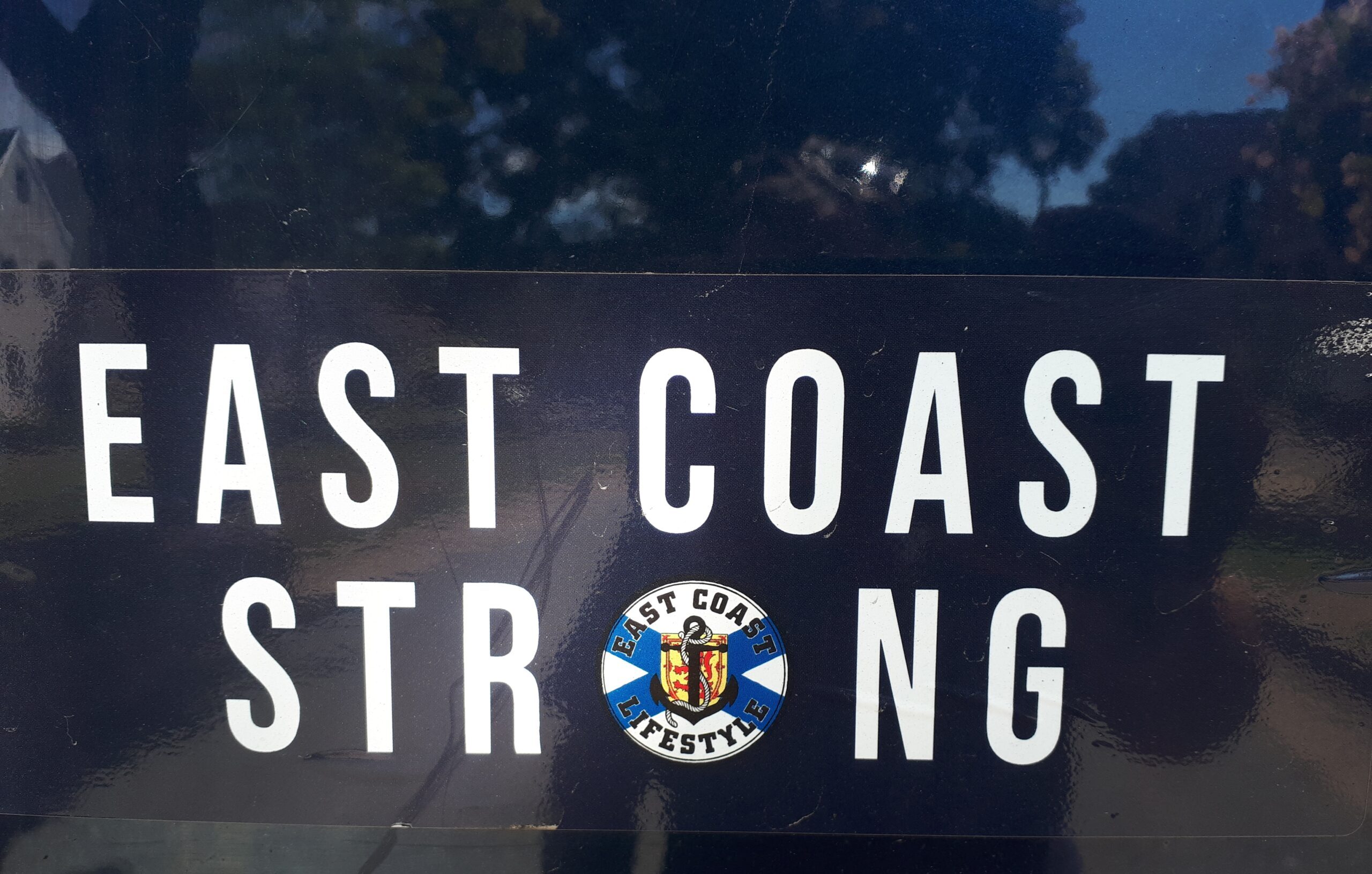 贴纸上写着东海岸强壮