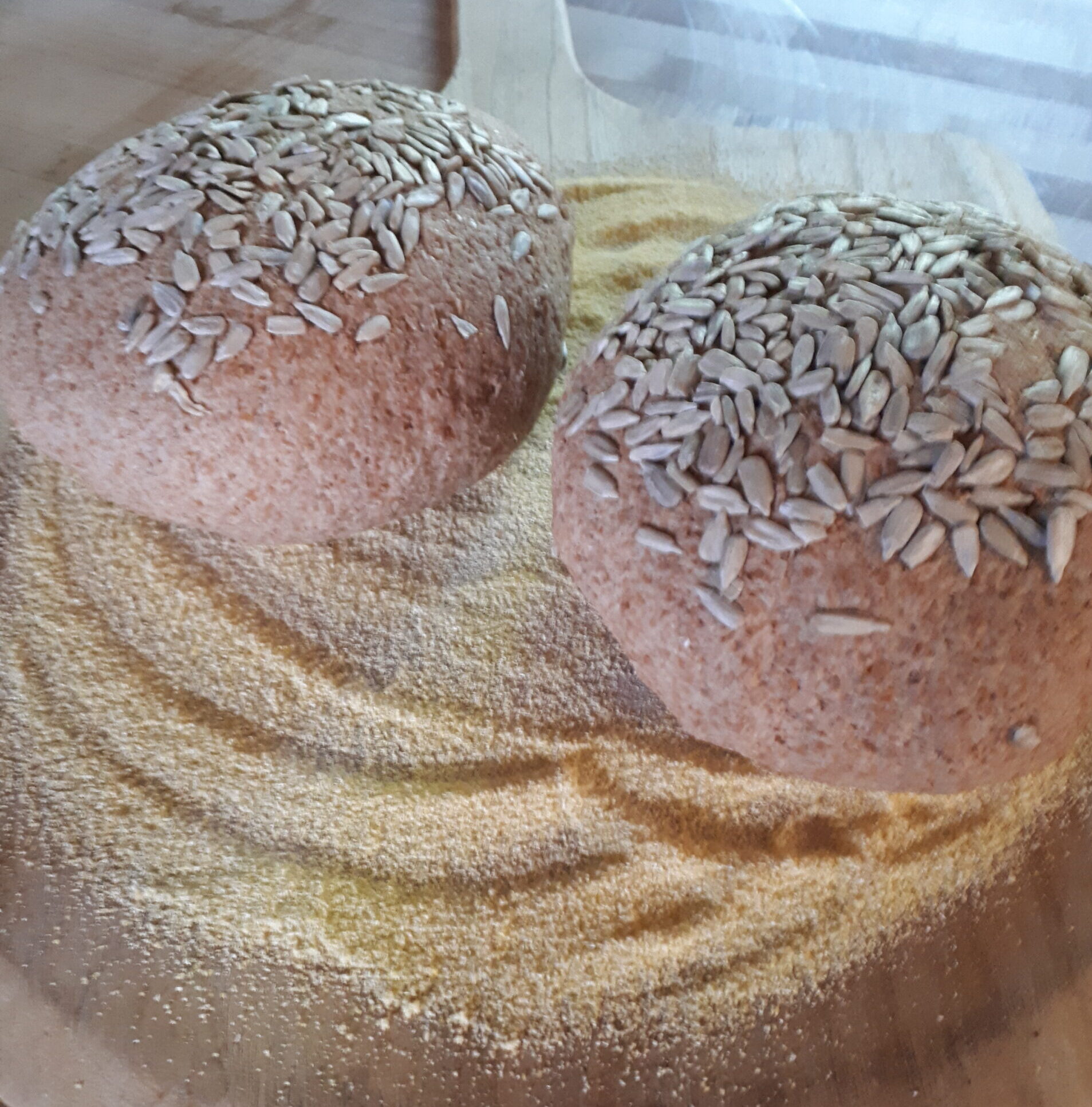 两条裹着玉米粉的面包，准备放进烤箱