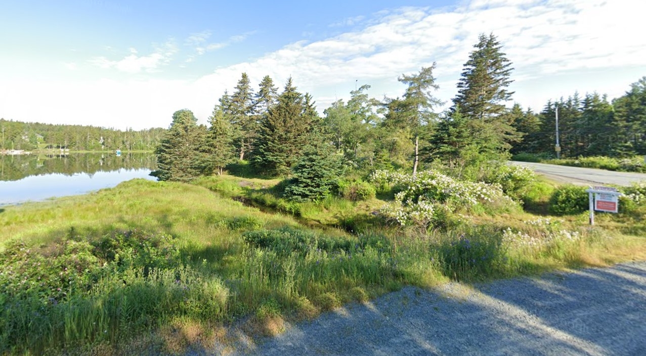 水边有树木和待售标志的建筑用地