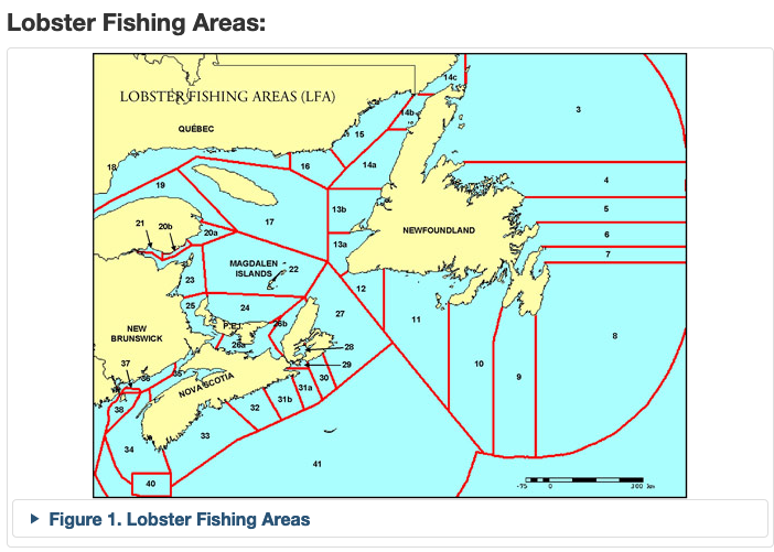 加拿大大西洋龙虾渔区