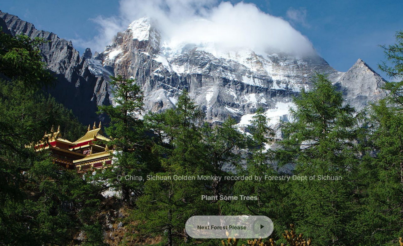 高耸的雪山被云层遮蔽，前景是森林和中国寺庙。