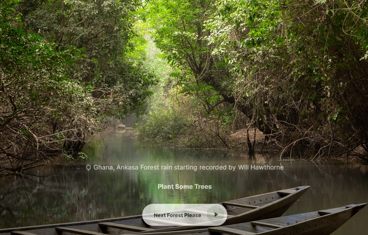 船只，河流和森林