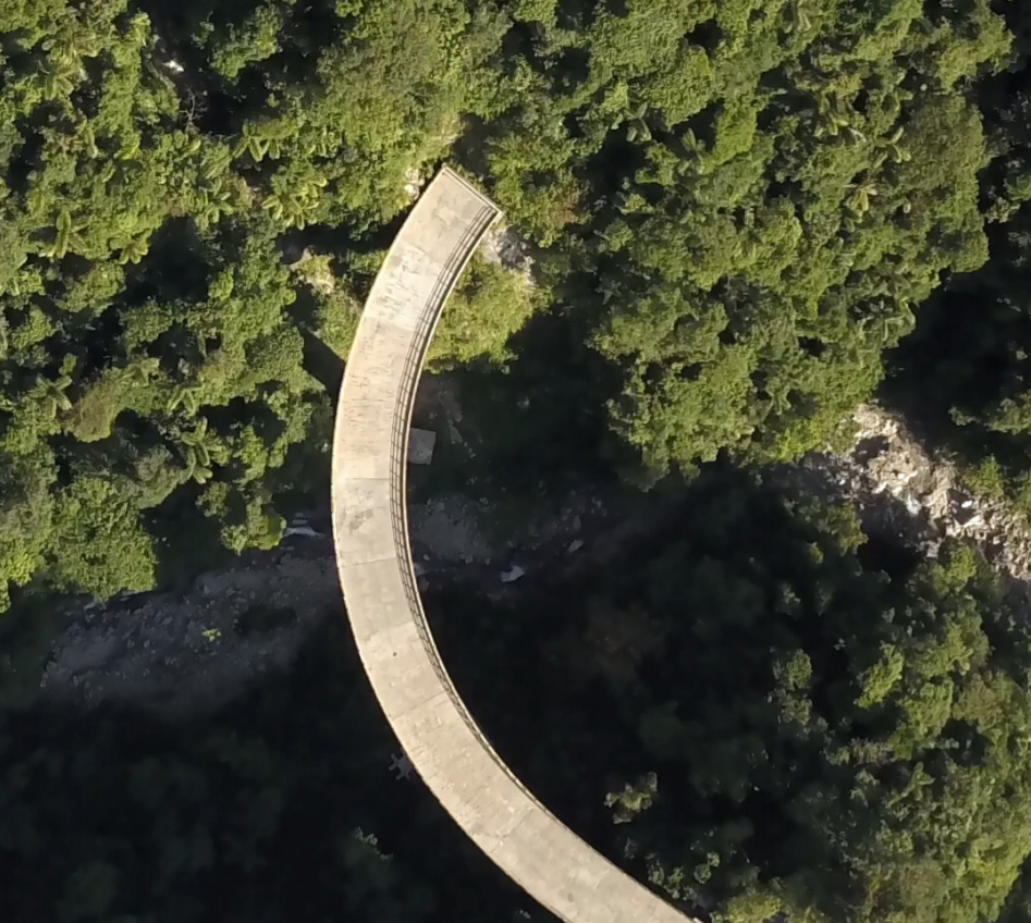 森林里一座未完工的混凝土桥。