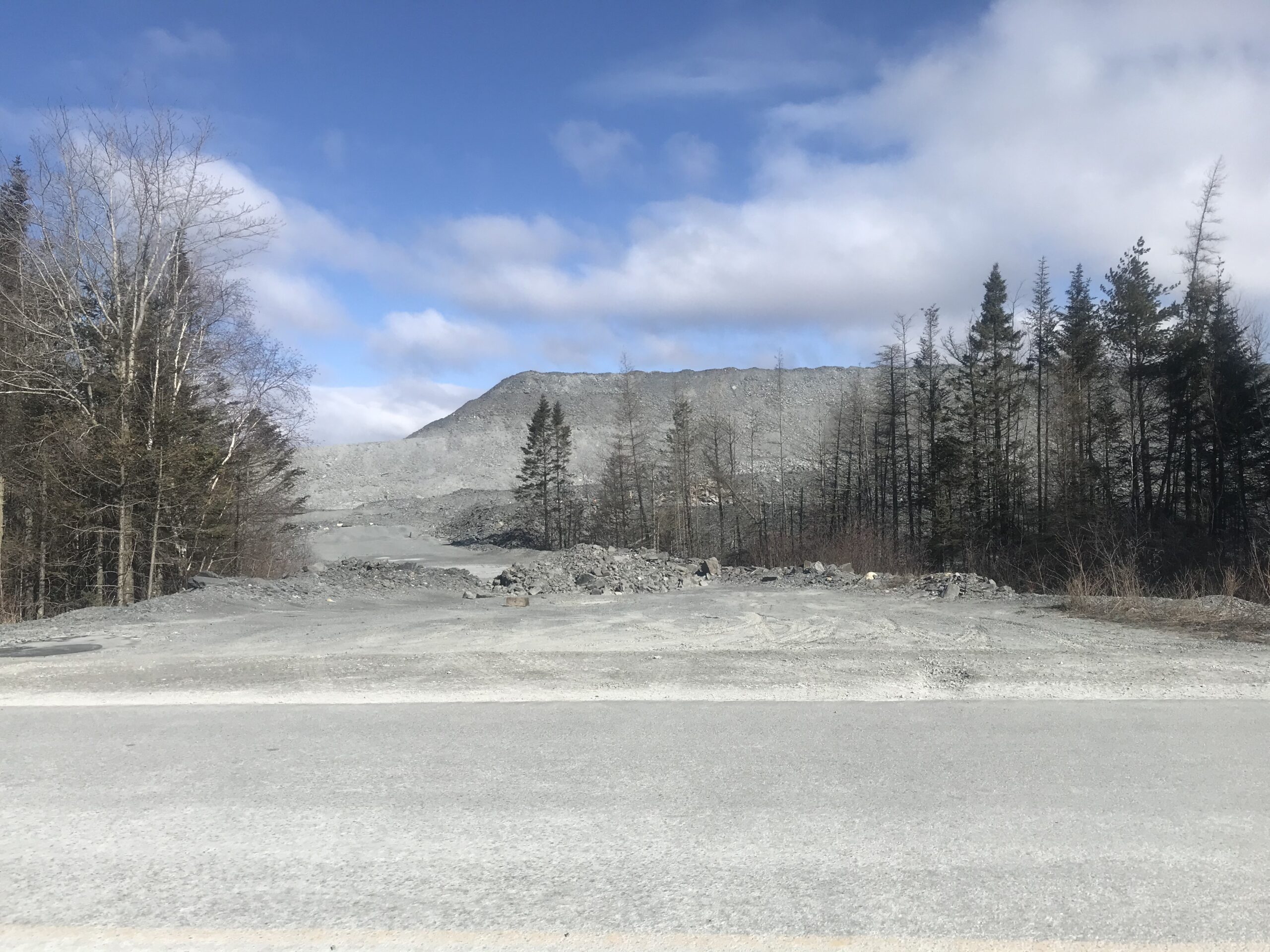 这是一张矿井中一条灰色土路的照片，两边都是树。这条路通向一大堆灰色的岩石和尘土。