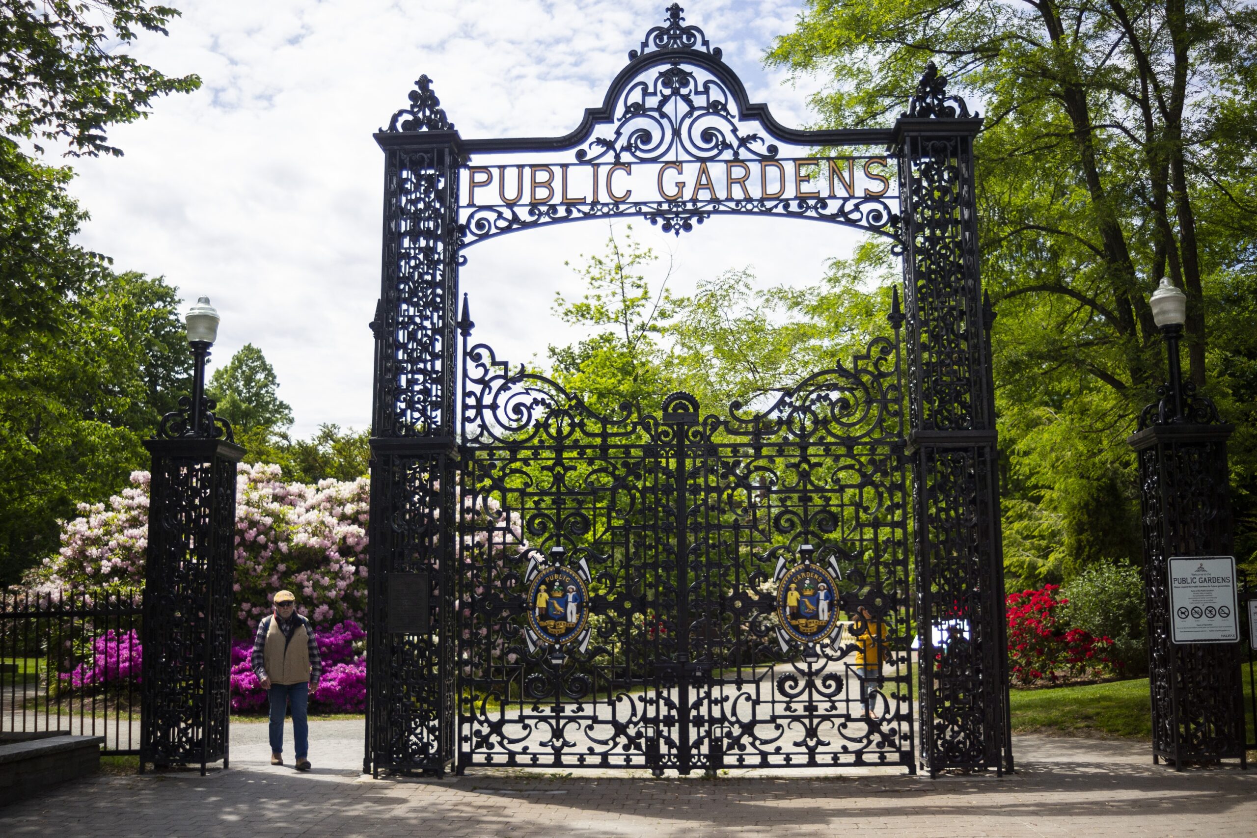 The front gates of the Public Gardens at South Park Street and Spring Garden road, on a sunny day in June 2021. A man is exiting the gardens through the smaller gate on the left of the main gate, probably invigorated from his walk past the pink, white and fuchsia rhodendendrons.