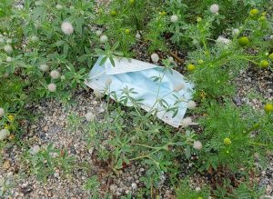 丢弃的外科口罩躺在草地上。