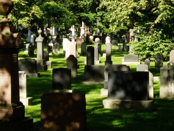 在阳光明媚的日子里，可以看到墓地里满是树叶的墓碑在斑驳的灯光下。