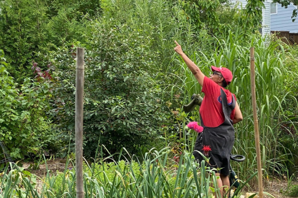 伊芙琳白色，穿着红色的T恤和红色帽，站在她的花园里指着她看到的基本的地方。